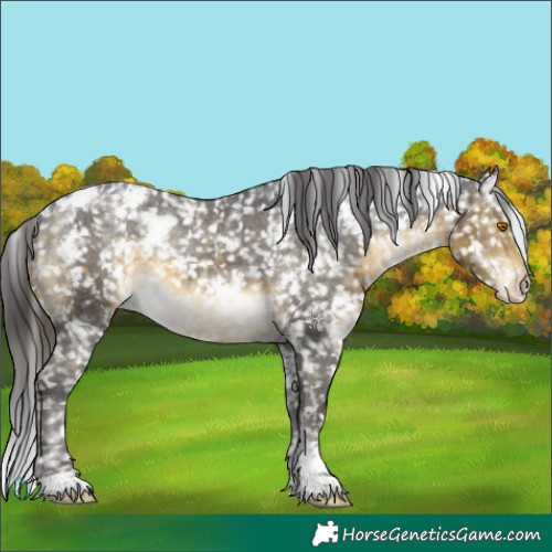 Horse Color:White Spotted Buckskin Mushroom Snowflake Varnish 