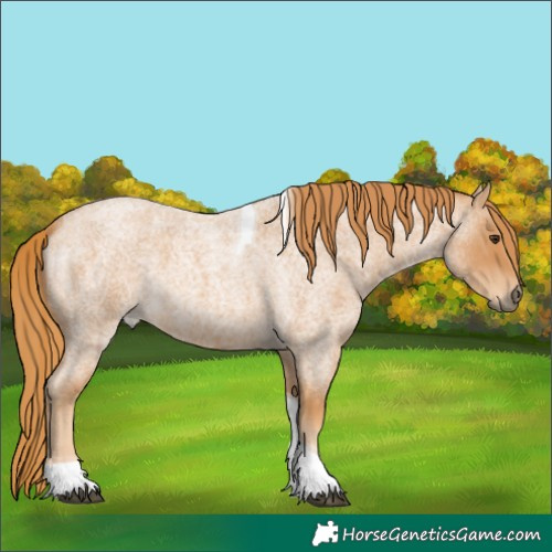 Horse Color:Red Roan Tobiano 