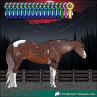 Horse Color:Chocolate Brown Tobiano Varnish 