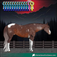 Horse Color:Chocolate Brown Tobiano Varnish