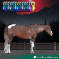 Horse Color:Chocolate Brown Tobiano Varnish 