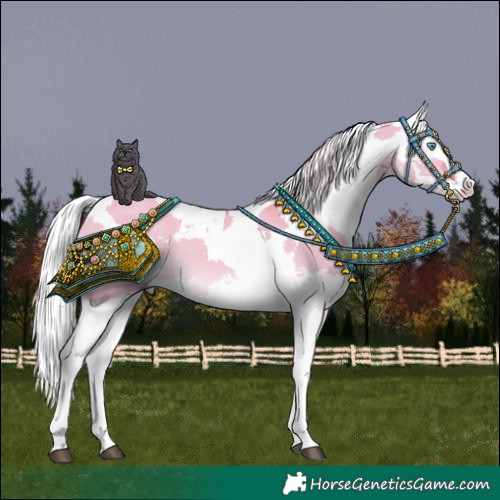 Horse Color:Watercolor Silver Bay Dun Harlequin Merle Splash Tobiano