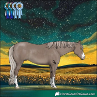 Horse Color:Chocolate Silver Grullo Brindle 