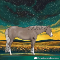Horse Color:Chocolate Silver Grullo Brindle 