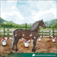 Horse Color:White Spotted Silver Black 