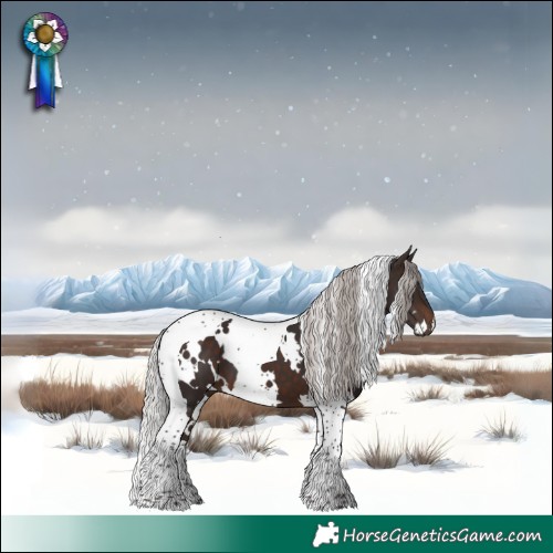 Horse Color:White Spotted Silver Brown Tobiano 