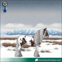 Horse Color:White Spotted Silver Brown Tobiano