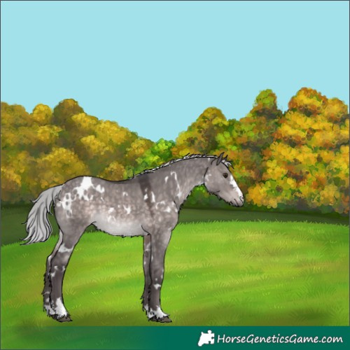 Horse Color:Platinum White Spotted Silver Brown Dun 