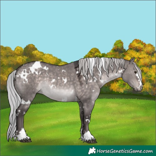 Horse Color:Platinum White Spotted Silver Brown Dun 