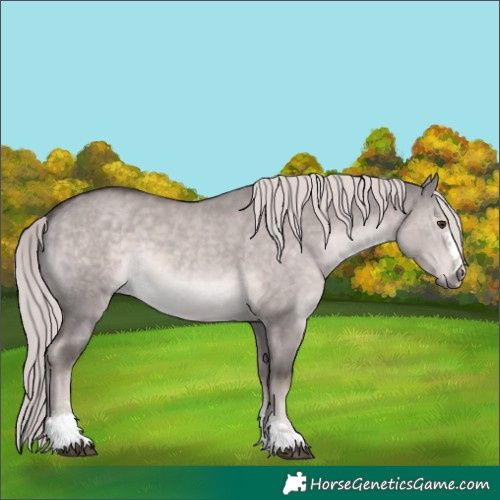 Horse Color:Platinum Chocolate Palomino Dun 