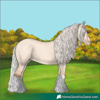 Horse Color:Silver Classic Champagne Dun Splash Frame 
