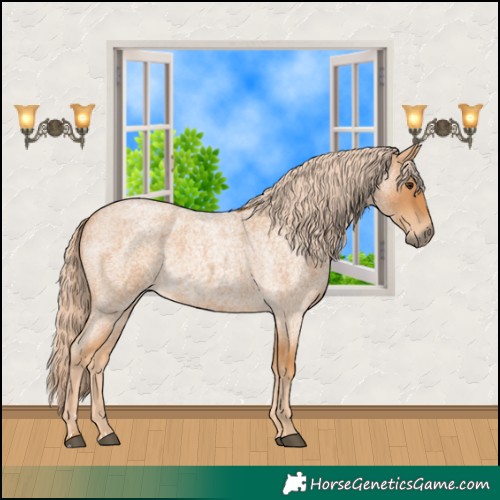 Horse Color:Red Roan 