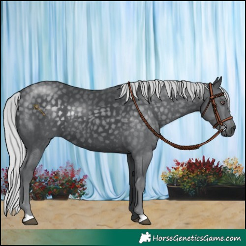 Horse Color:Silver Black Chinchilla Rabicano 