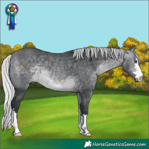 Horse Color:Silver Brown Chinchilla 
