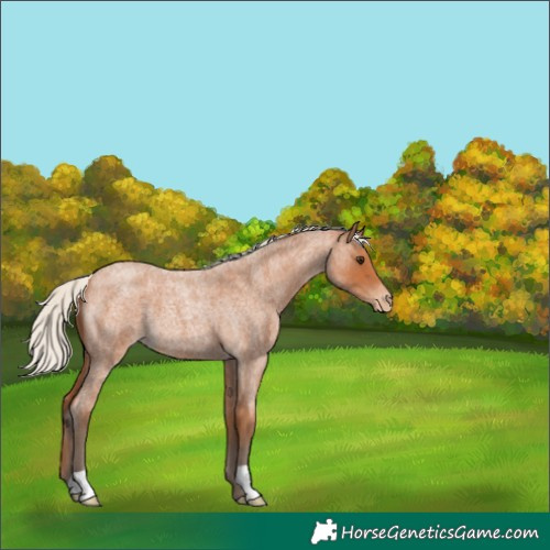 Horse Color:Silver Bay Roan Varnish 