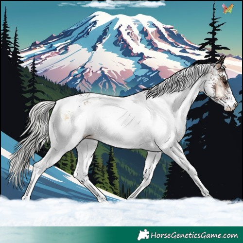 Horse Color:White Spotted Silver Brown Onyx 