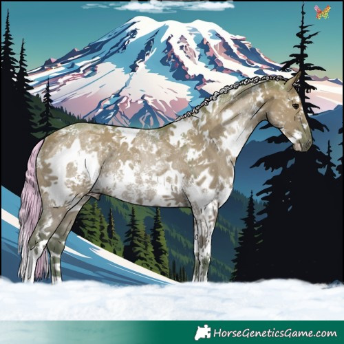 Horse Color:Watercolor White Spotted Silver Grullo Sabino Rabicano 