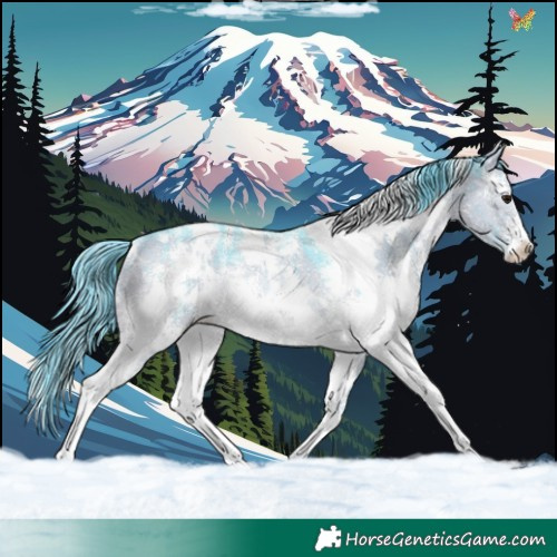 Horse Color:Watercolor White Spotted Brown Dun Sabino Rabicano Brindle 