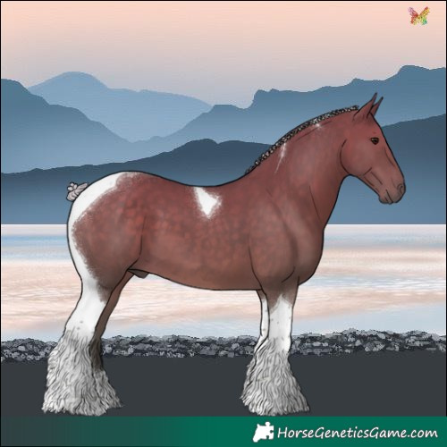 Horse Color:Silver Black Tobiano 
