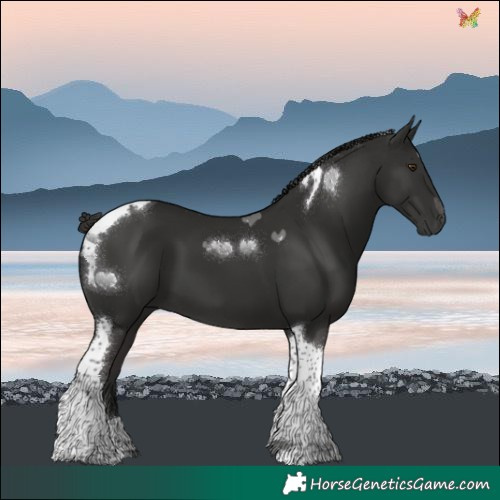 Horse Color:Liver Chestnut Tobiano 