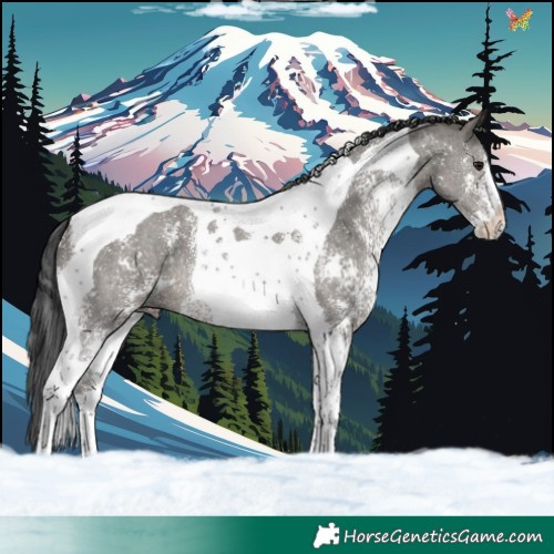 Horse Color:Grullo Sabino Tobiano 