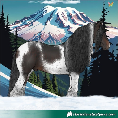 Horse Color:Brown Tobiano 
