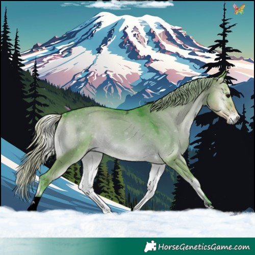 Horse Color:Void Watercolor Silver Smoky Grullo Onyx Tobiano 