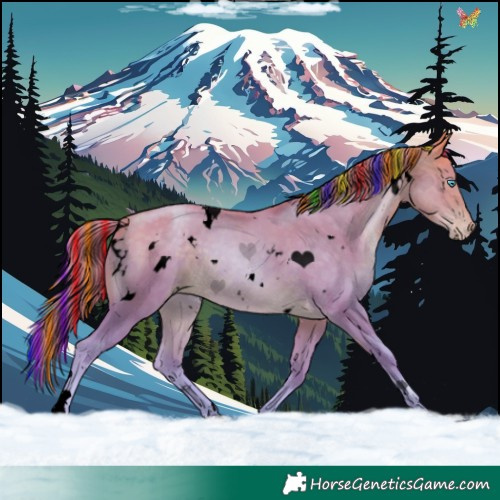 Horse Color:Void Painted Watercolor White Spotted Buckskin Pearl 