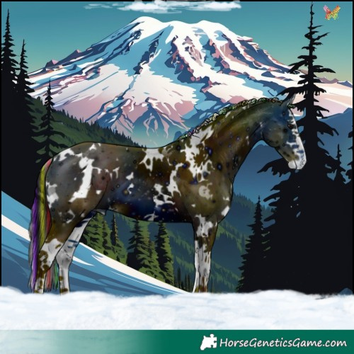 Horse Color:ERROR: UNKNOWN ANOMALY