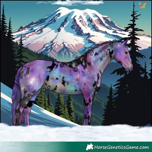 Horse Color:Void Nacre Watercolor White Spotted Black Rabicano 