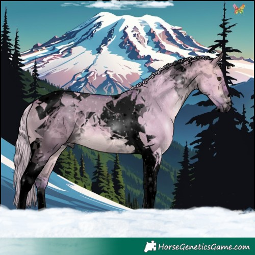 Horse Color:Void Watercolor Silver Bay Dun Tobiano 
