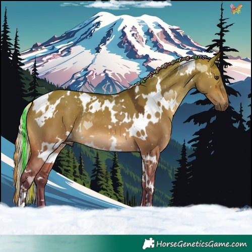 Horse Color:Painted White Spotted Silver Brown Dun 