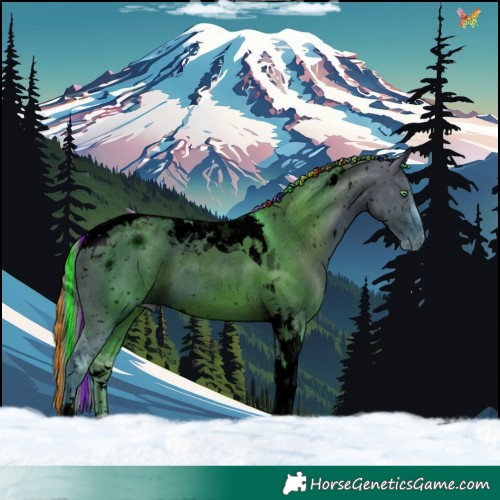 Horse Color:ERROR: UNKNOWN ANOMALY