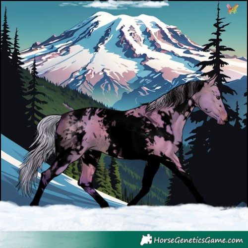 Horse Color:Void Watercolor White Spotted Silver Bay Dun Tobiano Rabicano 