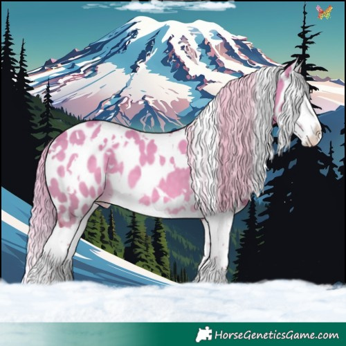Horse Color:White Spotted Chocolate Palomino Dun Splash Appaloosa 