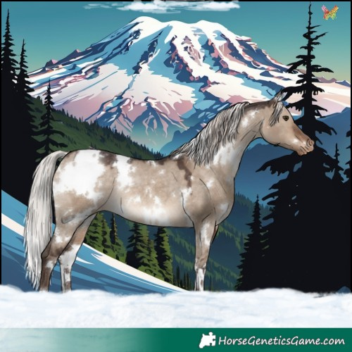 Horse Color:White Spotted Silver Brown Dun Appaloosa Rabicano 