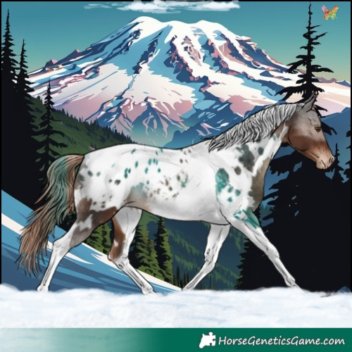 Horse Color:White Spotted Liver Chestnut Tobiano Appaloosa Rabicano 