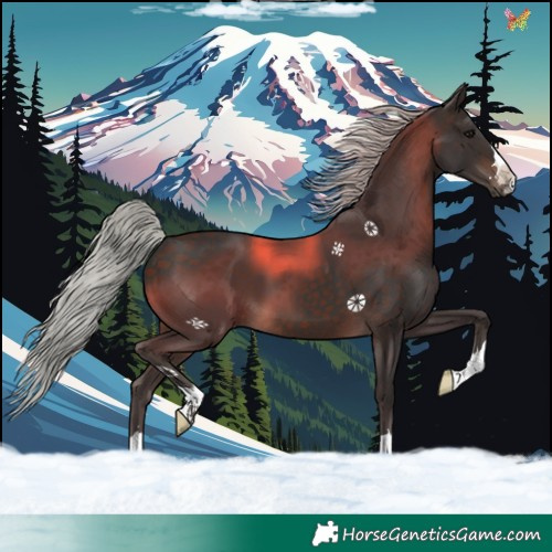 Horse Color:Silver Brown 