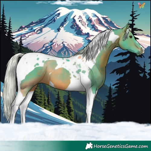 Horse Color:Watercolor Silver Brown Tobiano