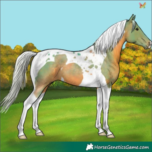 Horse Color:Watercolor Silver Brown Tobiano 