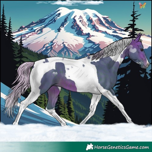 Horse Color:Watercolor Silver Brown Tobiano 