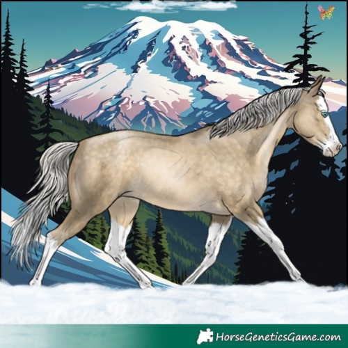 Horse Color:Silver Buckskin Pearl Splash 