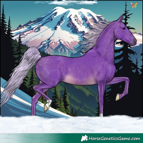 Horse Color:Watercolor Silver Buckskin 