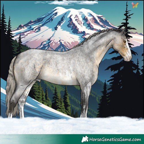 Horse Color:Silver Buckskin Roan Sabino 