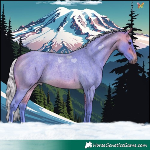 Horse Color:Watercolor Silver Buckskin Roan 