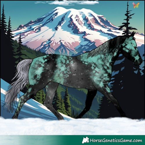 Horse Color:Void Watercolor White Spotted Silver Smoky Black 