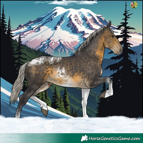 Horse Color:White Spotted Silver Buckskin Ice 