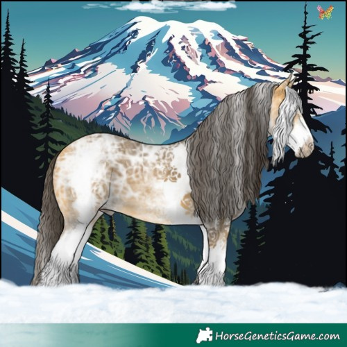 Horse Color:White Spotted Buckskin Ice 