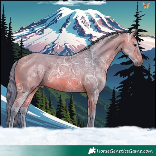 Horse Color:Watercolor Bay Ice 