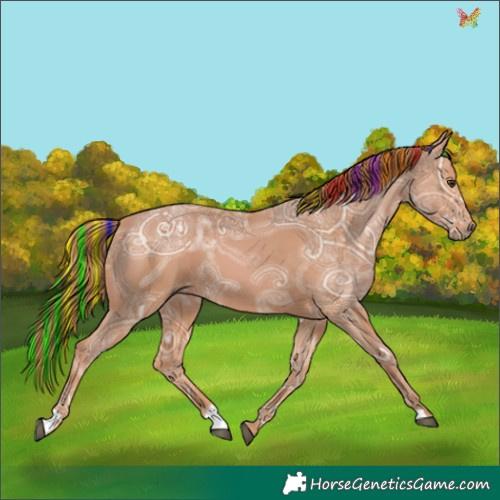 Horse Color:Painted Chestnut Ice 